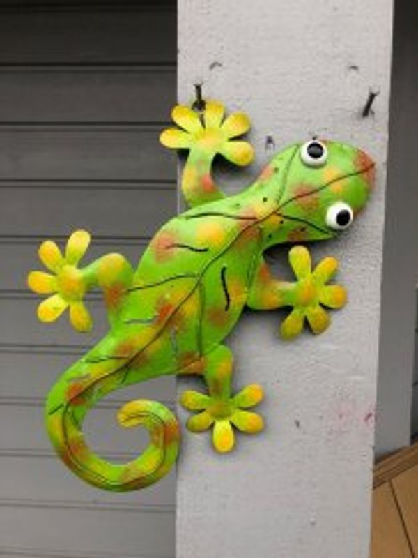 Gecko Grønn. Liten og stor