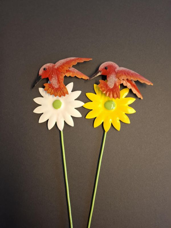  Hagestang Blomst med Kolibri